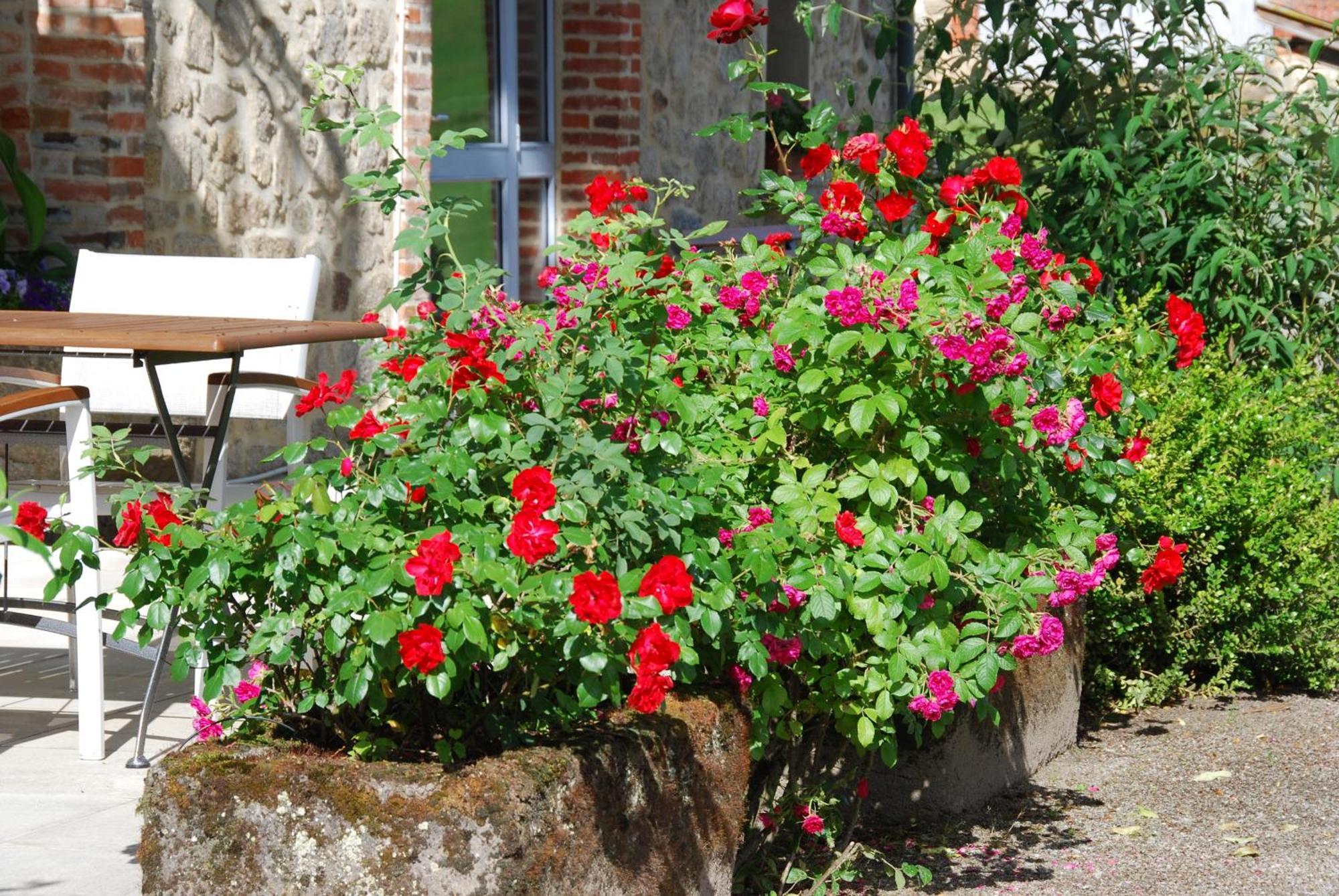 Les Maisons De Concasty Boisset  Kamer foto