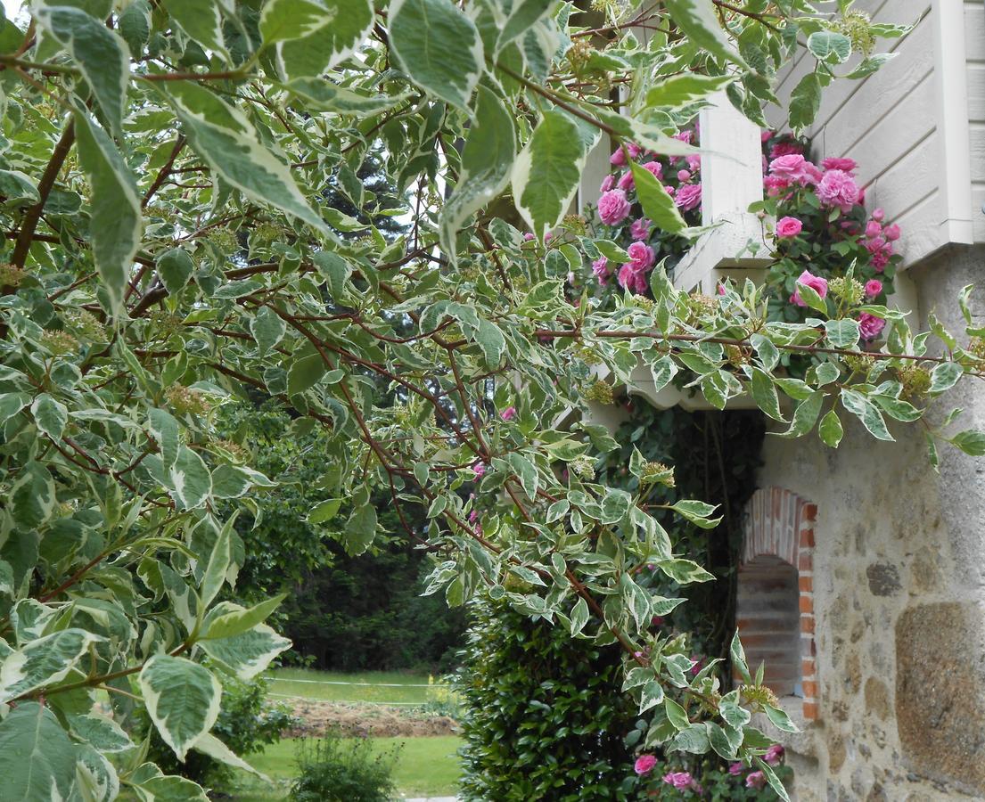 Les Maisons De Concasty Boisset  Buitenkant foto